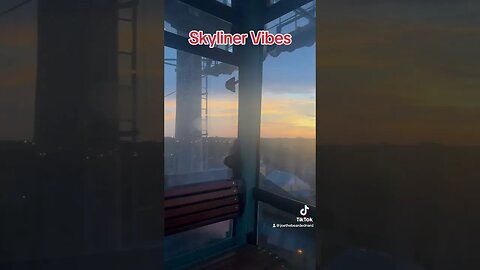 Mentally I am here #disney #skyliner #vibes