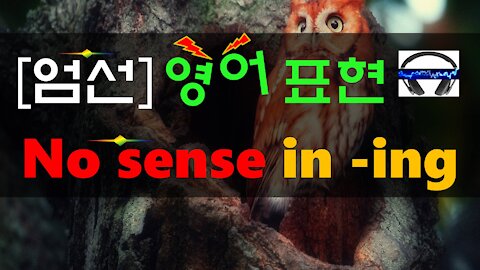 ▶ No sense in ~ing ◀ 무슨 뜻?! 실제 원어민 발음은 어떨까? (+ 이 외 보너스 표현) l 귀가 트이는 영어ㅣ소리영어ㅣ영어 귀뚫기ㅣ미드 자막없이 보기