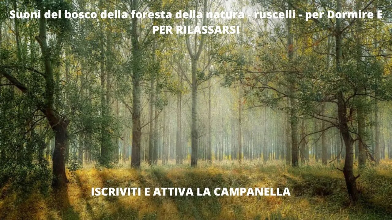 3 ore di Suoni del bosco della foresta e della natura - ruscelli - per Dormire - e relax