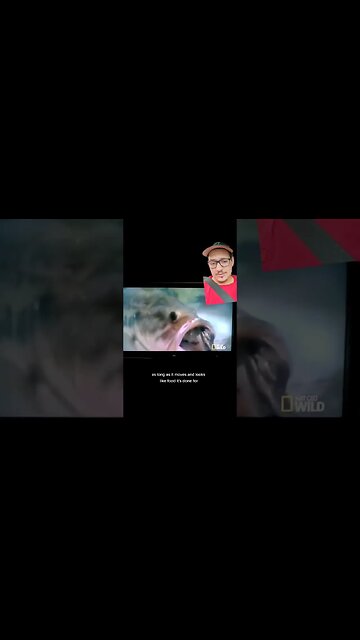 The Largemouth bass will eat ANYTHING