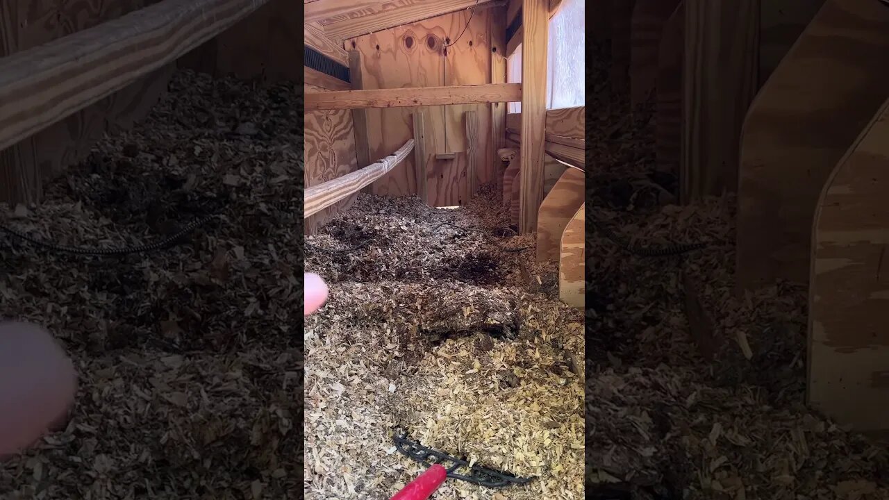 Easy chicken coop maintenance - Deep Litter Method.