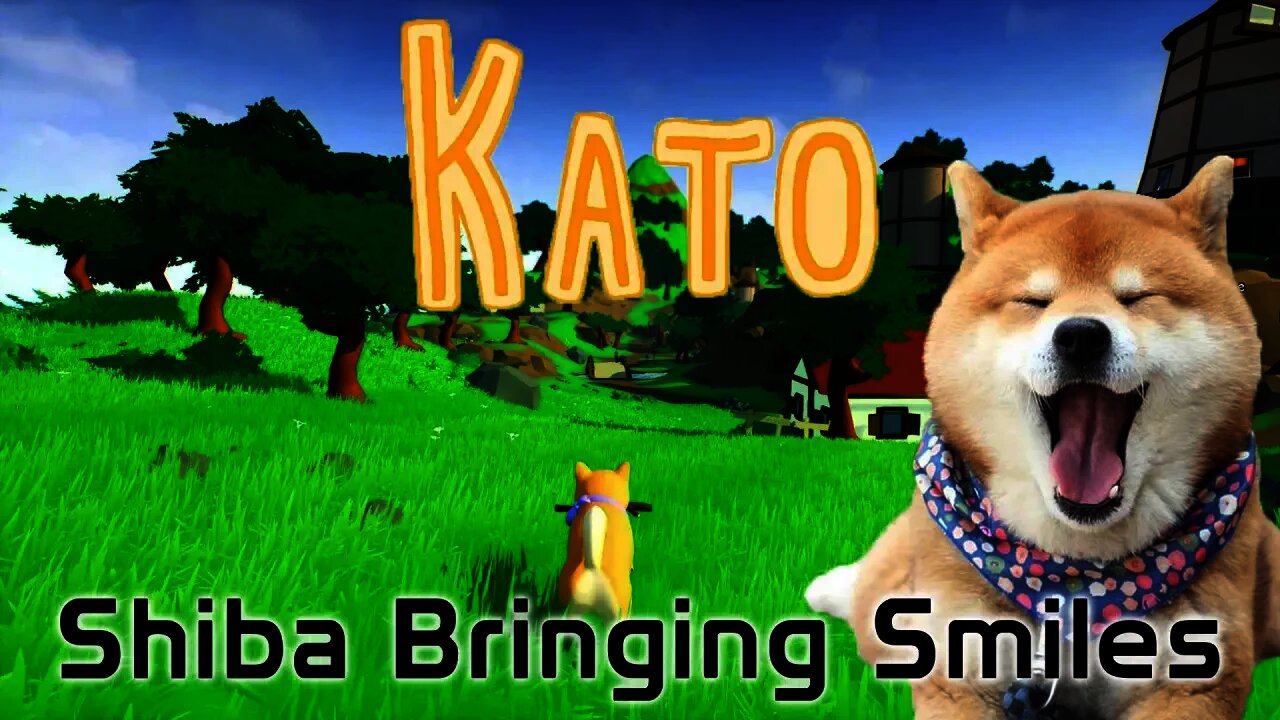 Kato - Shiba Bringing Smiles