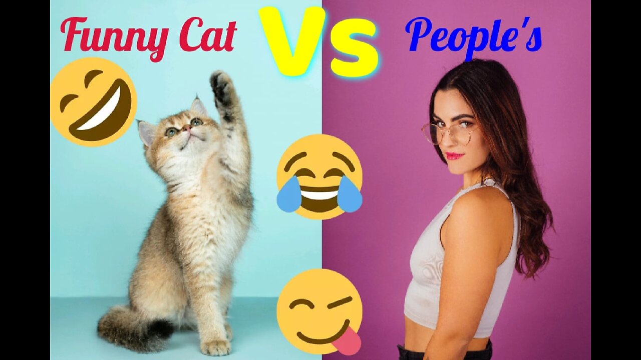 Funny cat videos😝😆🤣#catlover#shorts #viral #funny #catlover