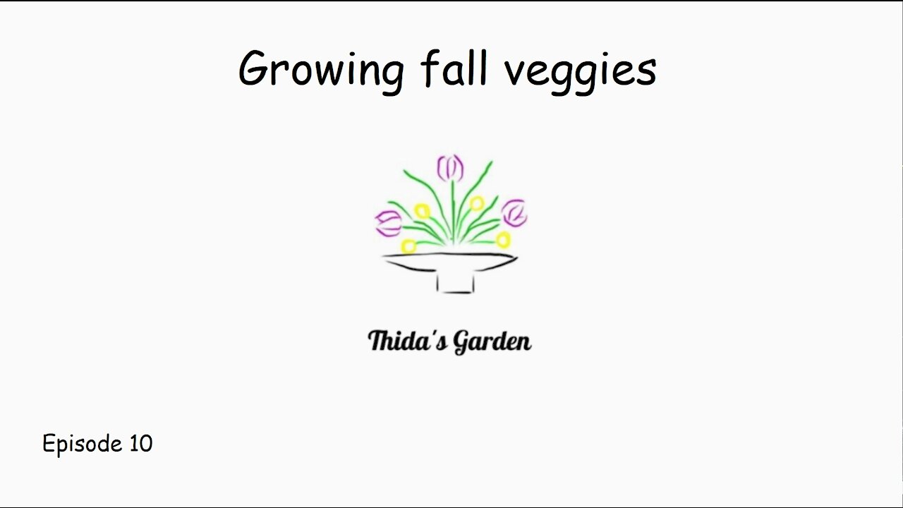 Growing fall veggies