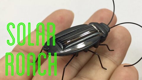 Solar Wiggling Cockroach Science Toy Review