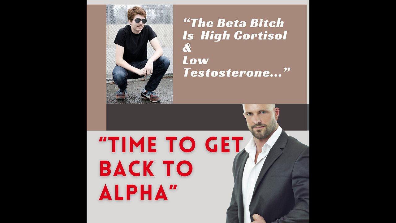 Beta Bitches vs. Alpha Men