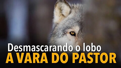 A VARA DO PASTOR: desmascarando o lobo