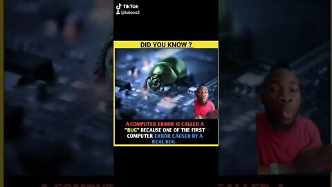 Why its called a computer bug