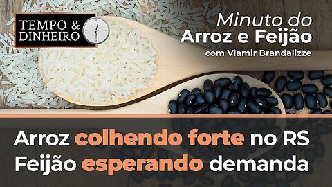 Arroz colhendo forte no RS, Feijão esperando demanda no varejo.
