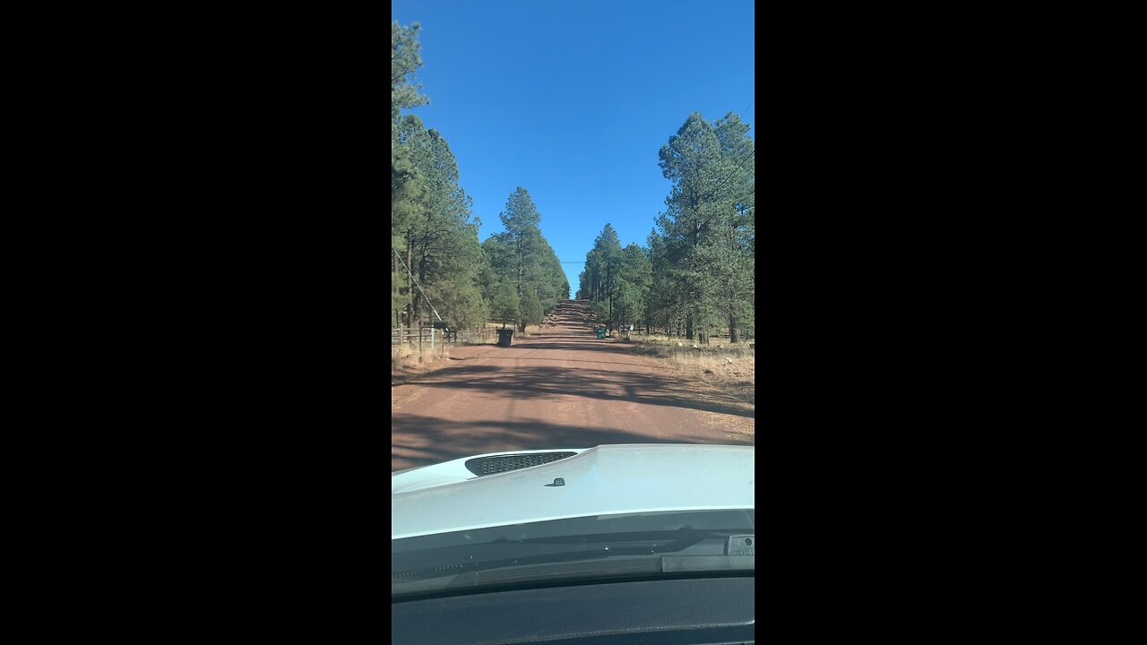 The drive out