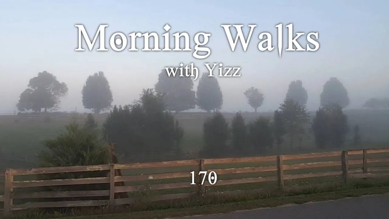 Morning Walks with Yizz 170