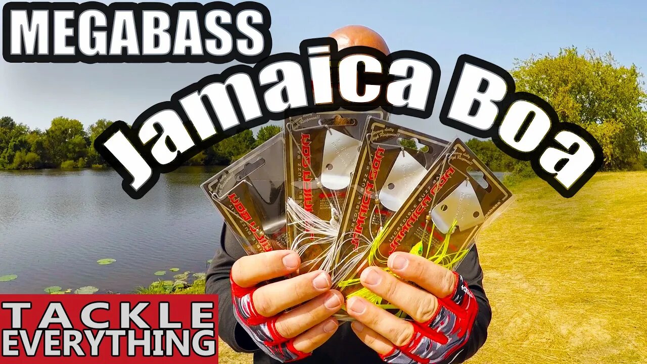 Megabass Jamaica Boa Buzzbait Review