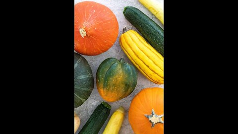 Find out more about SQUASH