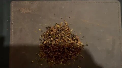 C and D Winchester and The Relationship Between Briar and Leaf