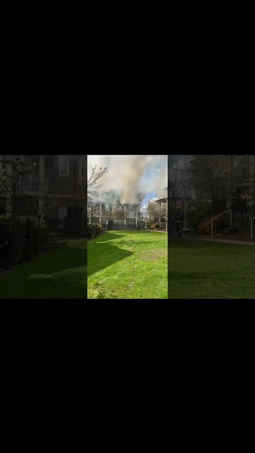 Fire #shortvideo #vancity #fireefire
