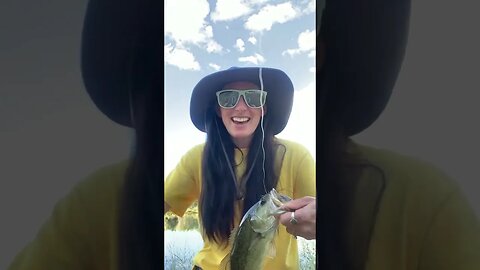 Largie for the win!