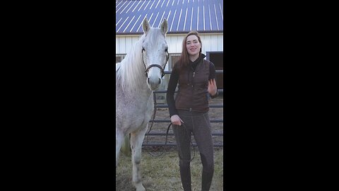 Horse Riding with fun