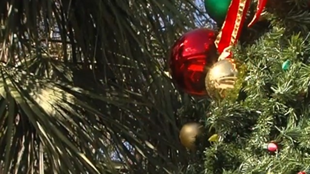 Tree lighting festival in Palm Beach Gardens