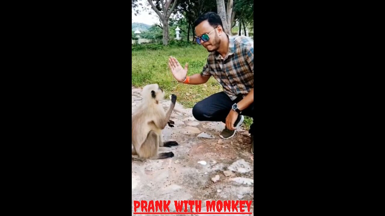 #Shorts #fun with monkey#prank with monkey