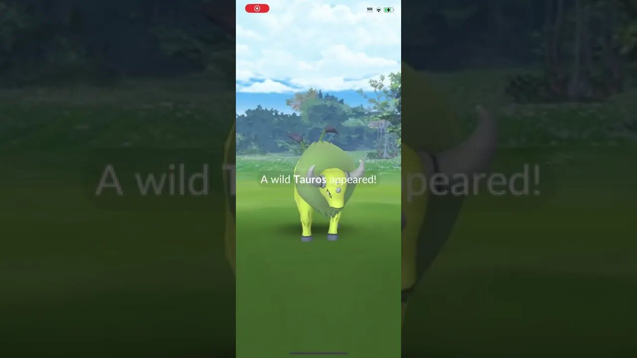 Shiny Tauros