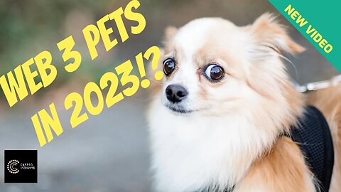 Web 3 Pets in 2023!