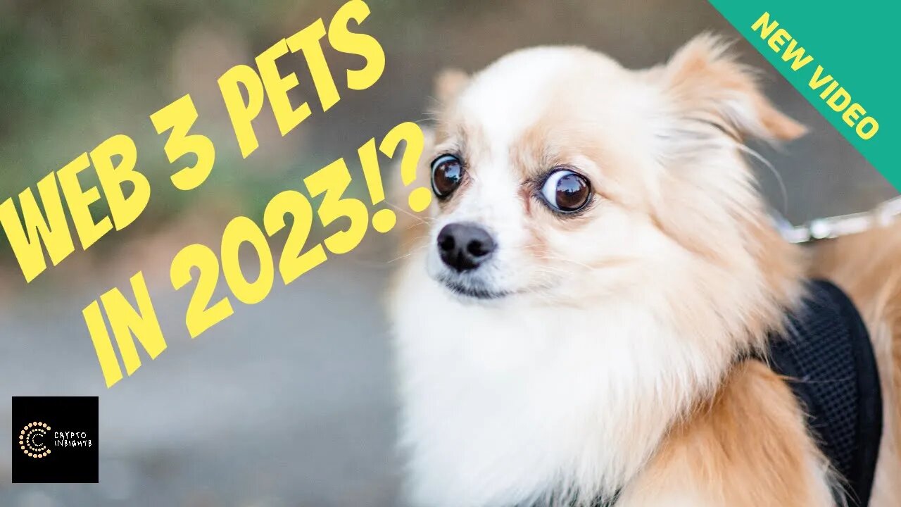 Web 3 Pets in 2023!