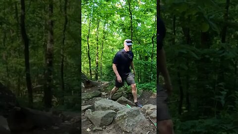 Perfect summer hiking weather on Yonah Mountain in north Georgia!