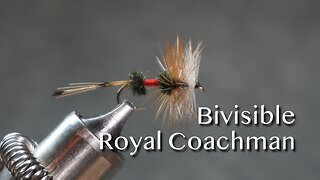 Royal Coachman Bivisible (Edward Hewitt)