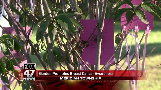 Meridian Township garden promotes breast cancer awareness