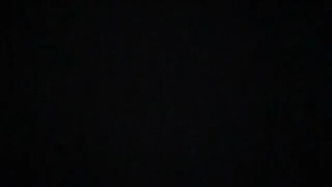 True Freeman Thanksgiving Puppy Killed is Donna Microwaving them ?