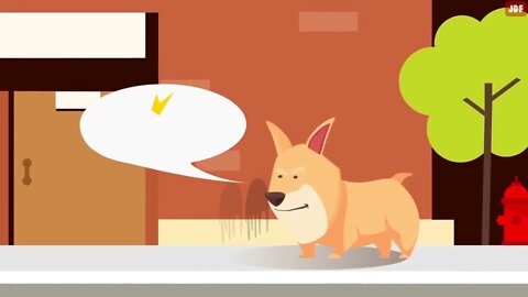 15 Things Dogs Love the Most