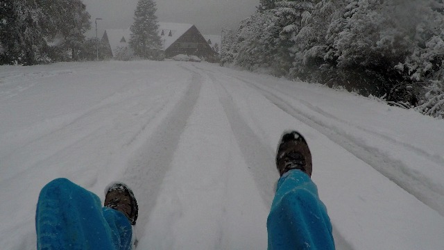 First snow - sledding on cardboard with plastic bag