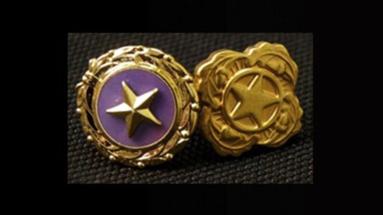 Palm Beach County Gold Star Family Memorial Monument approved