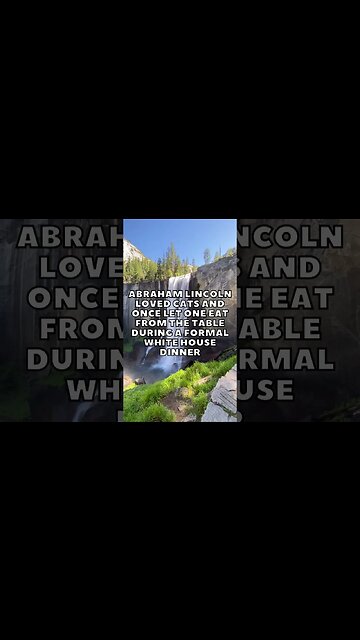 Incredible Random Facts That Will Expand Your Mind! [2023] #shorts #facts #viralshorts #fyp #life