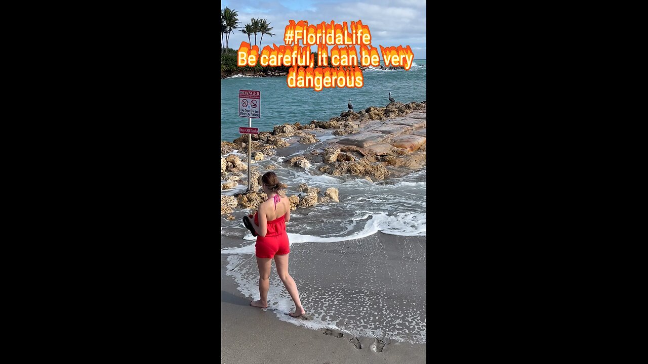 #FloridaLife Be careful, it can be very dangerous #florida #beach