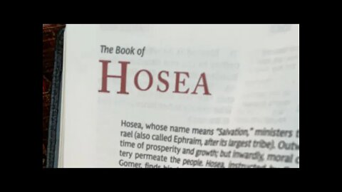 Hosea 8