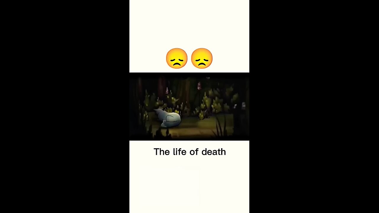 Life of death!! Heart touching video🥺🥺