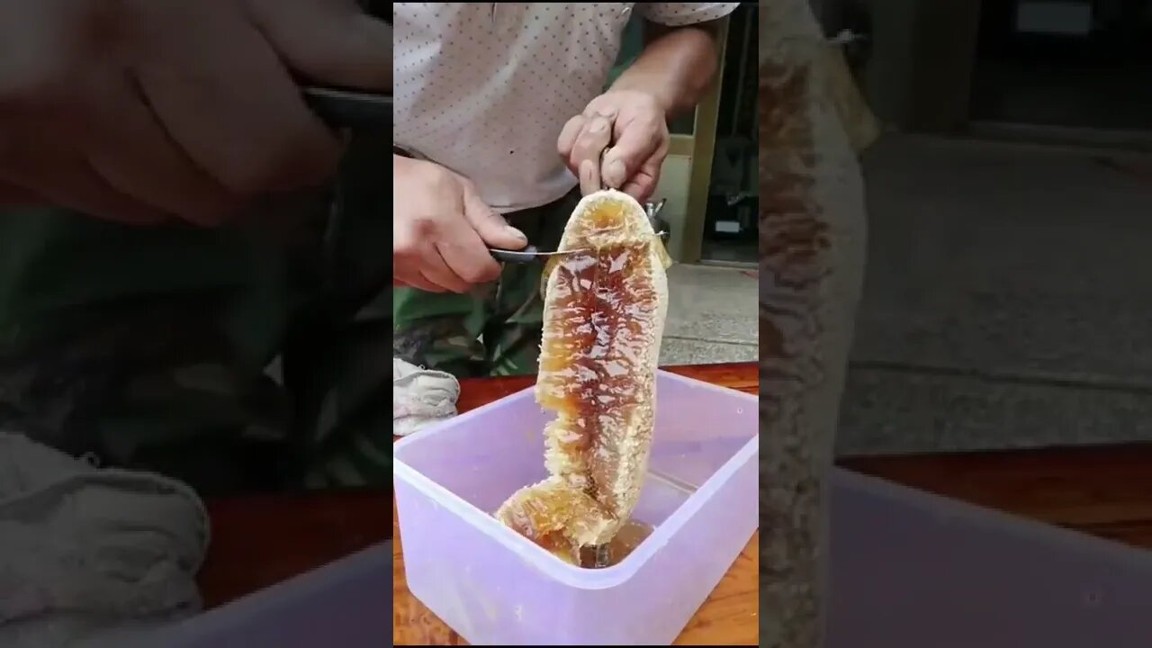 Very beautiful honey video