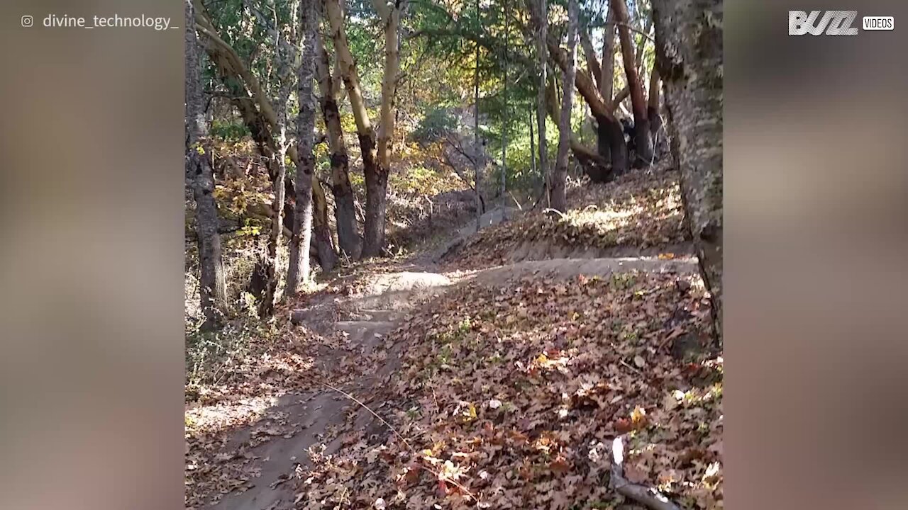Vuole fare lo spavaldo con la bici, ma cade davanti alla telecamera