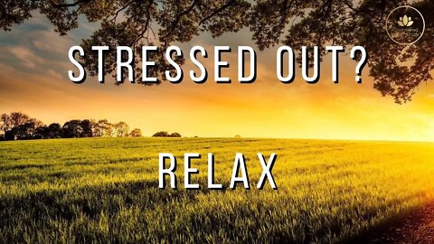 Stressed out from work? Meditate with this relaxing music for Stress Relief and Relaxation