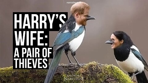 Harry´s Wife : A Pair of Thieves ( Meghan Markle)