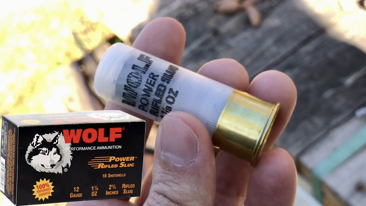 Wolf 12 Gauge 1 1/8 Ounce Rifled Slug Range Testing - Really Hard Primers