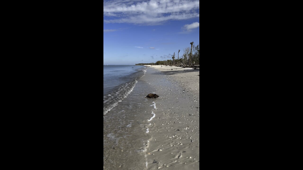 Beach Finds 10/4/2024 | 4K