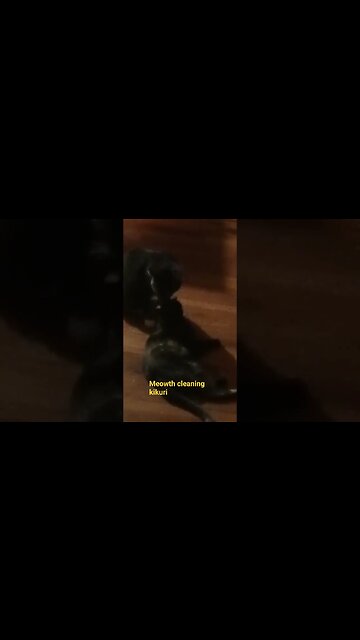 meowth cleaning kikuri