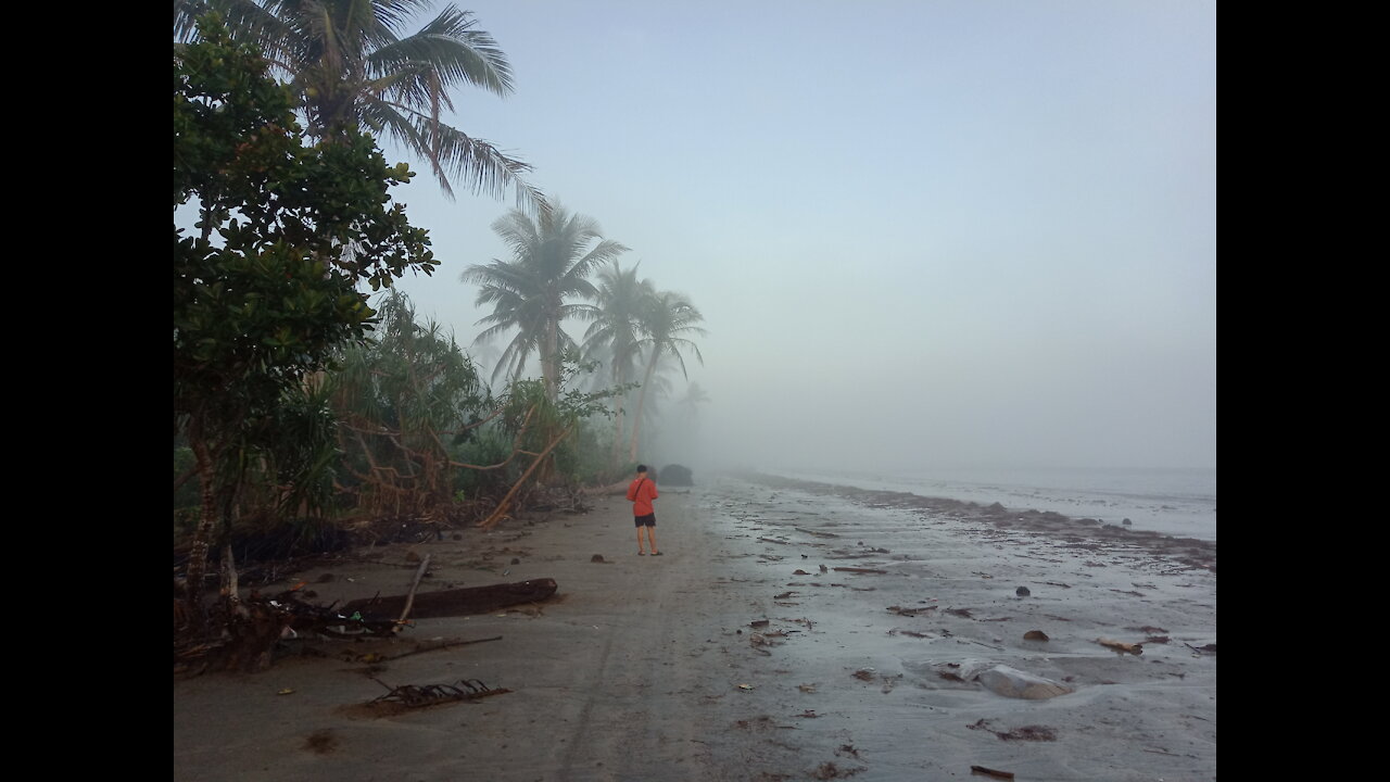 Foggy Seashore