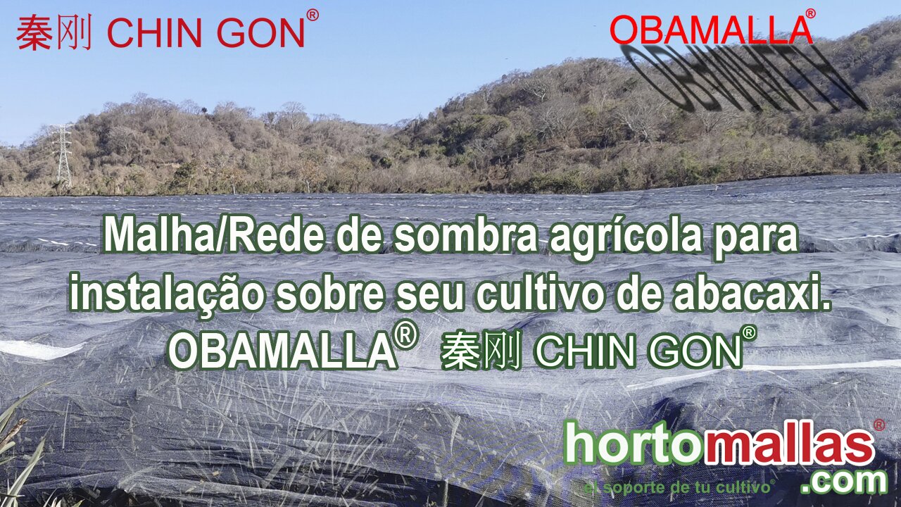 Malha/Rede de sombra agrícola para instalação sobre seu cultivo de abacaxi. OBAMALLA® 秦刚 CHIN GON®