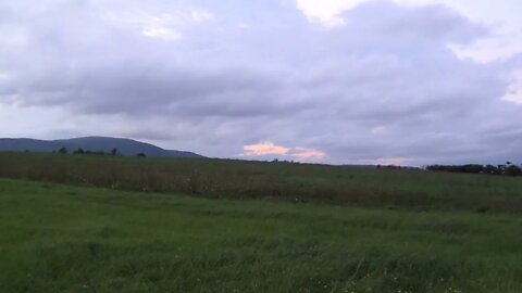 Field and Sky