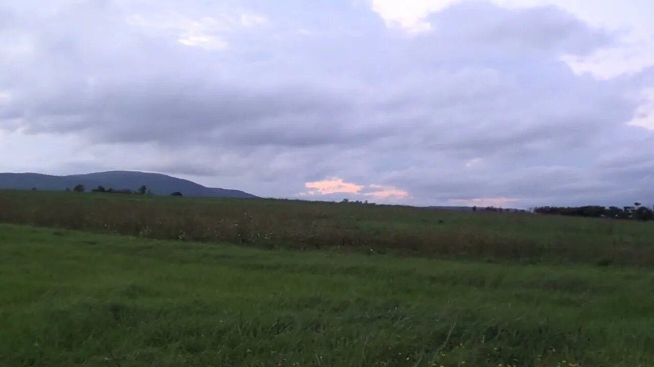 Field and Sky