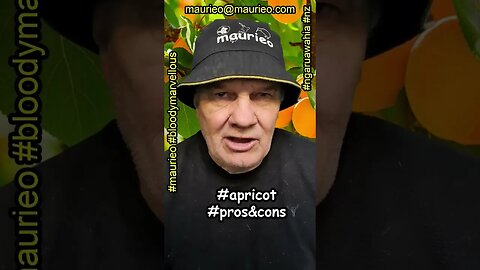 #maurieo #shorts APRICOT PROS & CONS