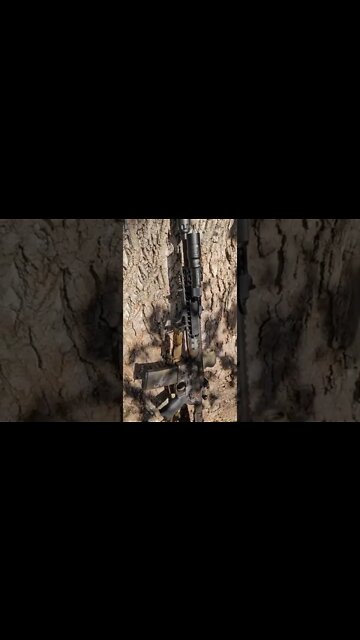 LWRCI Cerakote is 🔥🔥 #shorts